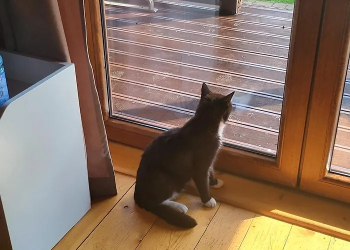 Wirchnia فيلة Malastow